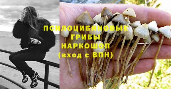 тгк Костерёво