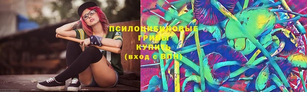 тгк Костерёво