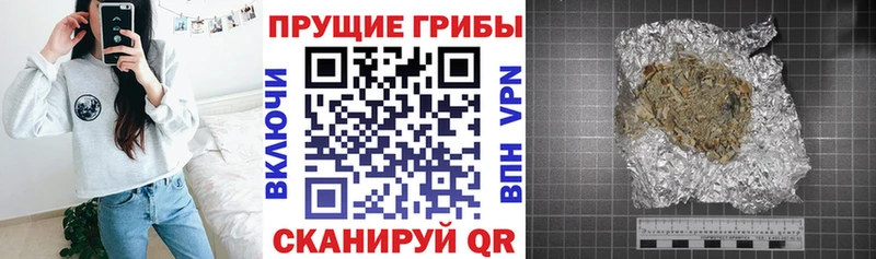Купить где  Собинка  Галлюциногенные грибы Psilocybe 